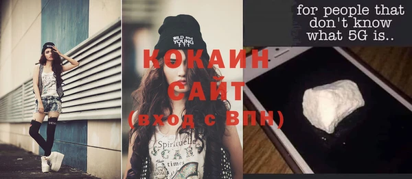 сатива Верея