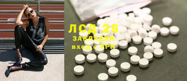 ПСИЛОЦИБИНОВЫЕ ГРИБЫ Бородино