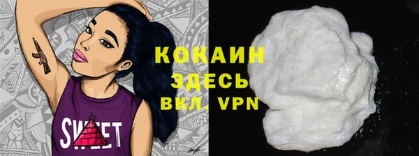 ПСИЛОЦИБИНОВЫЕ ГРИБЫ Бородино