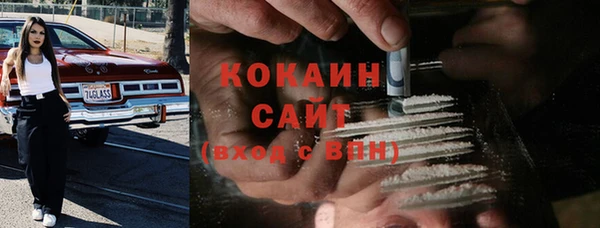 ПСИЛОЦИБИНОВЫЕ ГРИБЫ Бородино