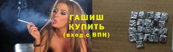 сатива Верея
