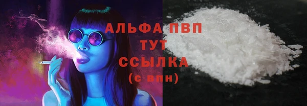 сатива Верея