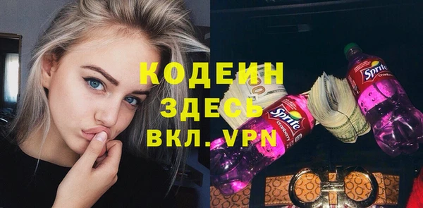 сатива Верея
