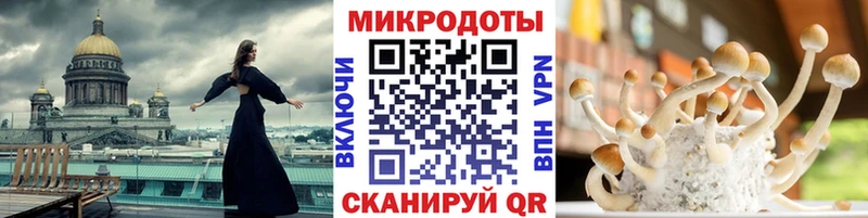 Псилоцибиновые грибы Psilocybe где можно купить наркотик Рузаевка