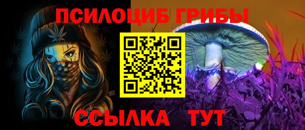 Галлюциногенные грибы Psilocybe Рузаевка